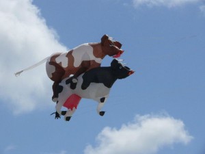 Flying-Cowcouple